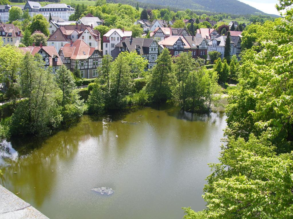 Ferienwohnungen Burg Im Zwinger Goslar Luaran gambar
